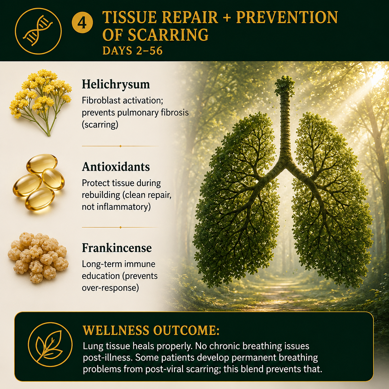 RESPIRA GUARD 10ML